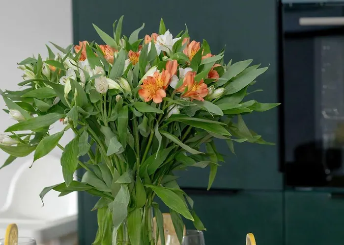 Bright With Parking, Air Conditioning & By Renters Dziwnow